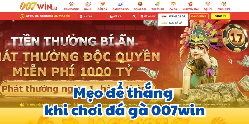 Mẹo để thắng khi chơi đá gà 007win