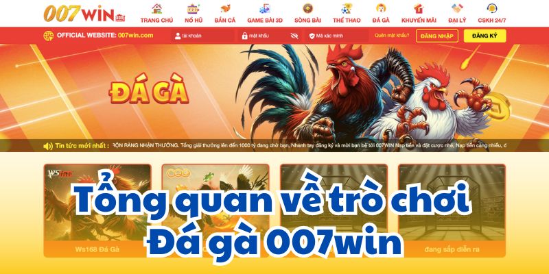 Tổng quan về trò chơi Đá gà 007win