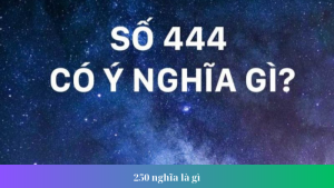 250 nghia la gi 1 1