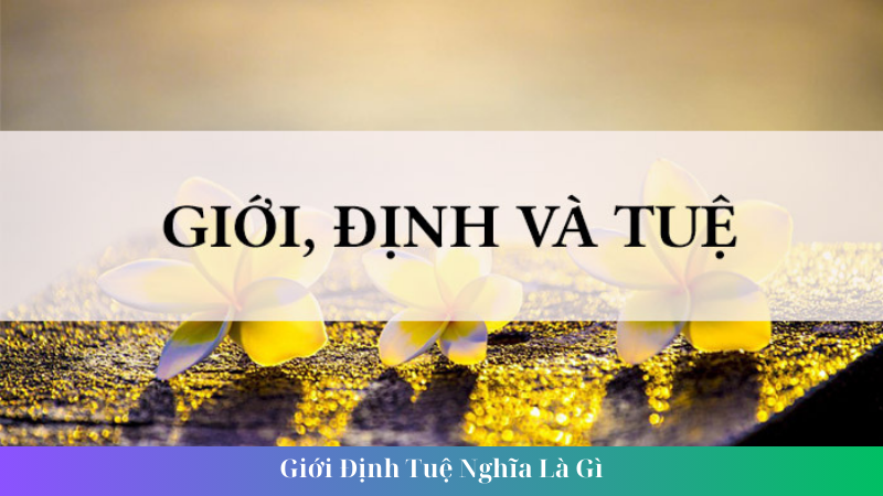 Gioi Dinh Tue Nghia La Gi