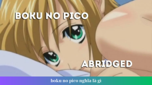 boku no pico nghia la gi