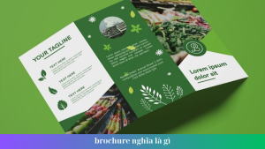 brochure nghia la gi