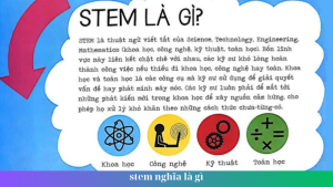 stem nghia la gi