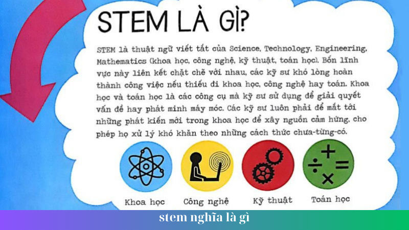 stem nghia la gi