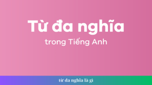 tu da nghia la gi