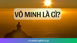 vo minh nghia la gi