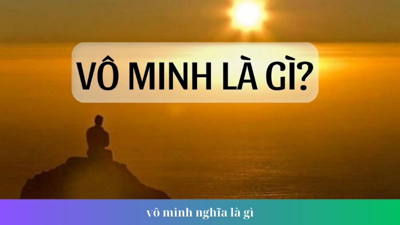 vo minh nghia la gi